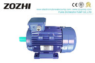 Three Phase Electric Asynchronous Motor 3kw MS100L2-4 Series For Food Machinery