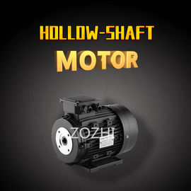 Aluminum Housing Three Phase Induction Motor 100L1-4 2.2KW 3HP For High Pressure Washer