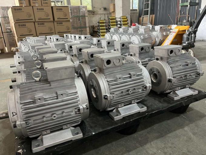 Motor eléctrico asíncrono de cuatro polos de 0.09kw 0.12Hp a prueba de agua de 50Hz 60Hz 380V 1500RPM trifásico cerrado 220V CA 17
