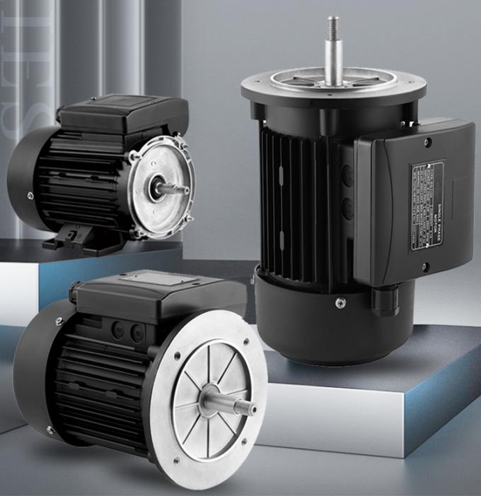 Bomba de piscina 2800 rpm Motor asincrónico monofásico con carcasa de aluminio resistente al agua y frecuencia de 220V 50Hz 1