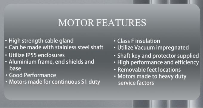 Bomba de piscina 2800 rpm Motor asincrónico monofásico con carcasa de aluminio resistente al agua y frecuencia de 220V 50Hz 4