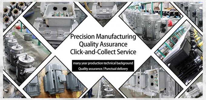 Motor eléctrico asíncrono de cuatro polos de 0.09kw 0.12Hp a prueba de agua de 50Hz 60Hz 380V 1500RPM trifásico cerrado 220V CA 13