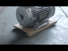 motor de eje hueco HS100L3-4