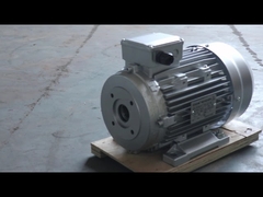motor de eje hueco HS100L3-4