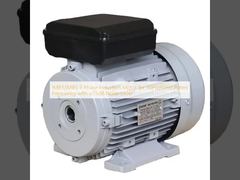 IMB3/IMB5 Motor de inducción de 3 fases para frecuencia nominal de 50Hz/60Hz con un nivel de ruido ≤ 75 dB