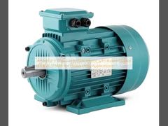 Motor de inducción industrial de 3 fases con salida nominal de 0,12 kW a 315 kW para aplicaciones de trabajo pesado