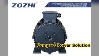Motor de eje hueco para hidrolimpiadoras 5,5kW