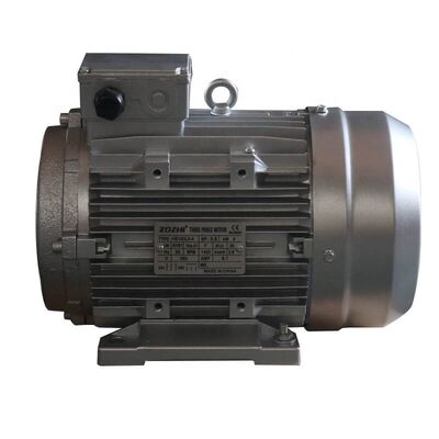 Electric High Pressure Cleaner Hollow Shaft 3 Phase Motor Suitable for Industrial Applications Durable and Performance Motor