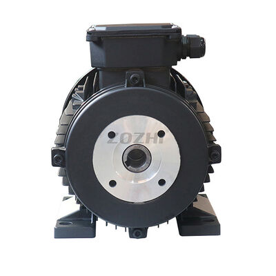 100 Percent Copper Winding Hollow Shaft Motor Rated Frequency 50Hz Suitable For Various Industrial Machinery Applications