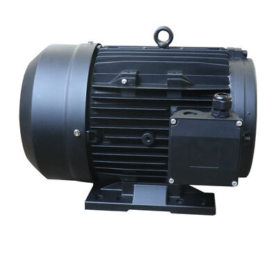 IC411 Cooling Method Hollow Shaft Motor 24MM Shaft Diameter Suitable for Robotics and Industrial Automation Applications