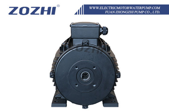 HS Series Hollow Shaft Motor for High Pressure Washer Systems with Aluminum Housing