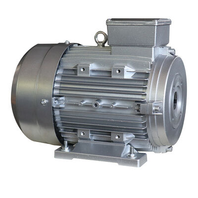 Made In hollow shaft electric motor built for automation equipment providing energy consumption and robust mechanical design