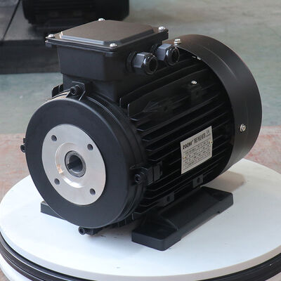 Foot mounted 3 Phase Induction Motor S1 continuous duty engineered for and stable performance in industrial applications