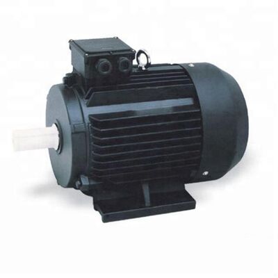 3 Phase Induction Motor Self-cooled By External Fan Noise Level ≤75dB Ideal for Industrial Fans Pumps and Conveyor Applications