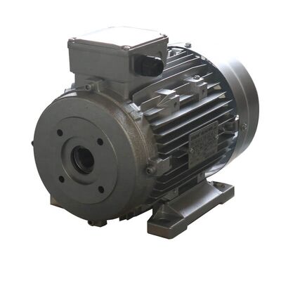 Asynchronous Motor 3 Phase Induction Motor Featuring Service Factor 1.0 Designed for Continuous Operation in Various Industries