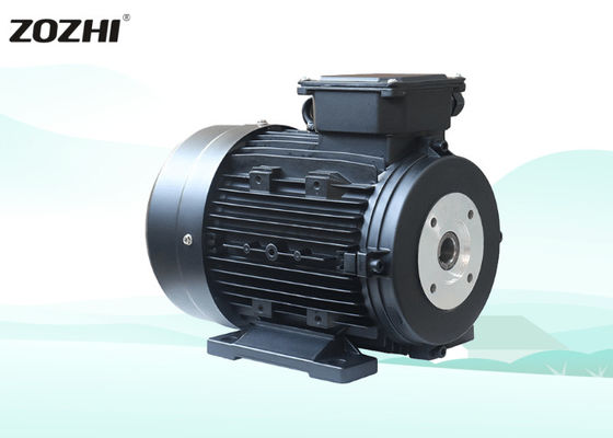 Motor eléctrico ZOZHI Eje Hueco 28mm Trifásico Impermeable Eficiencia IE2 0.75KW1hp 50Hz 380V