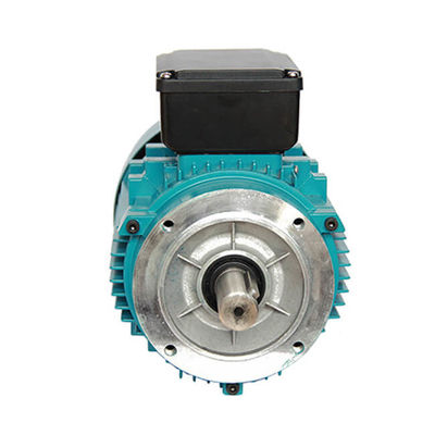 IP55 0.33HP 0.25KW Aluminium Asynchronous Induction Motor